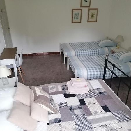 La Ventulella Bed and Breakfast Moltifao Eksteriør billede