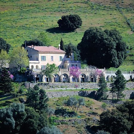 La Ventulella Bed and Breakfast Moltifao Eksteriør billede