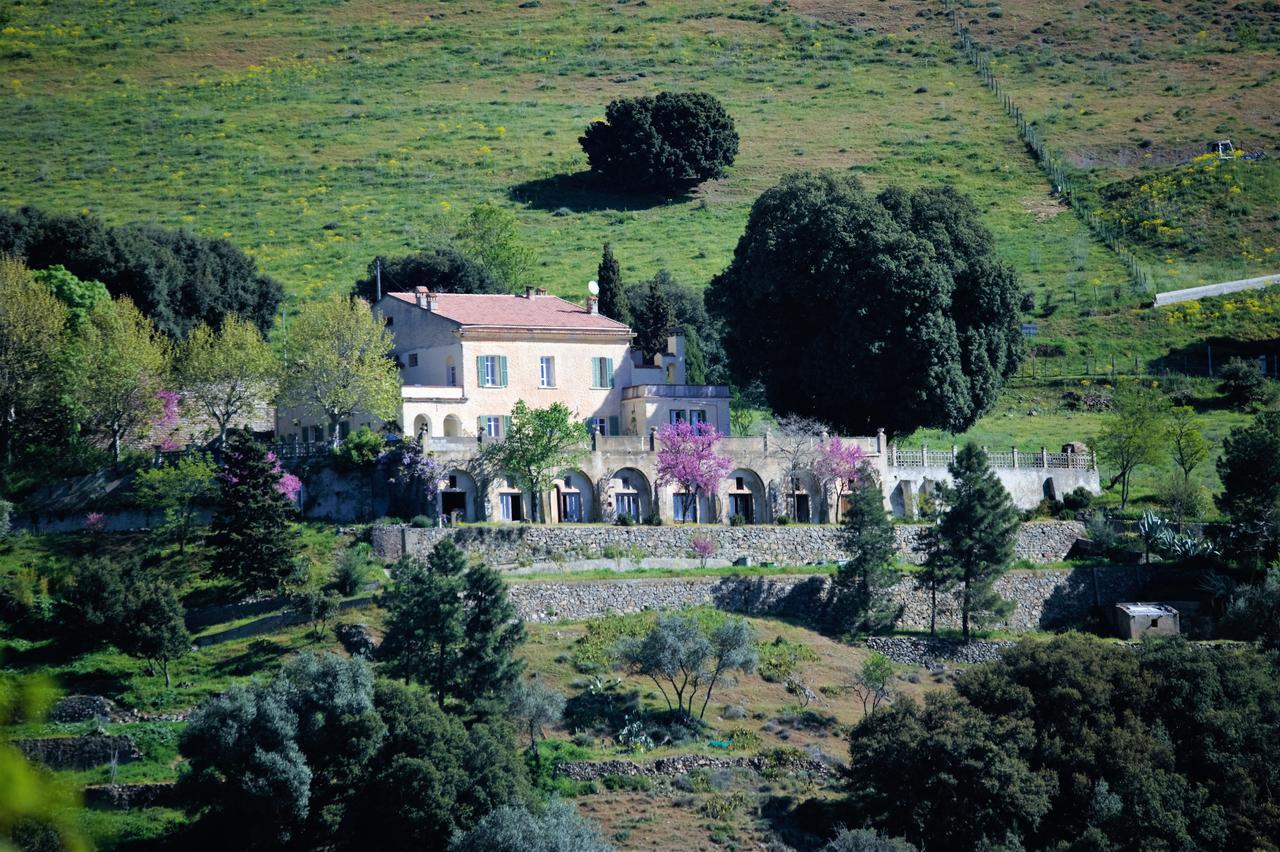 La Ventulella Bed and Breakfast Moltifao Eksteriør billede